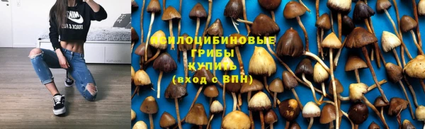 прущий лед Надым